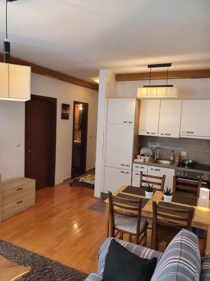 Apartments Foka & Spa - 600M From Gondola Ski Lift 科帕奥尼克 外观 照片