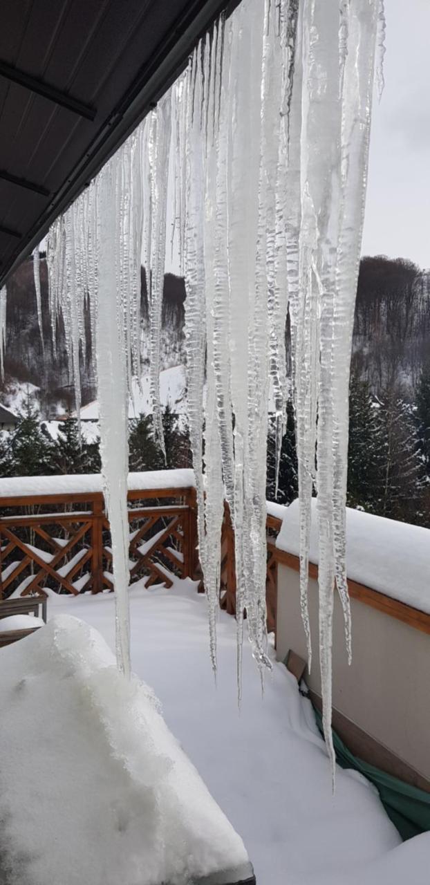 Apartments Foka & Spa - 600M From Gondola Ski Lift 科帕奥尼克 外观 照片